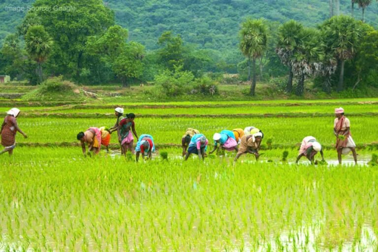 Good news for beneficiaries of the PM Kisan Samman Nidhi Yojana