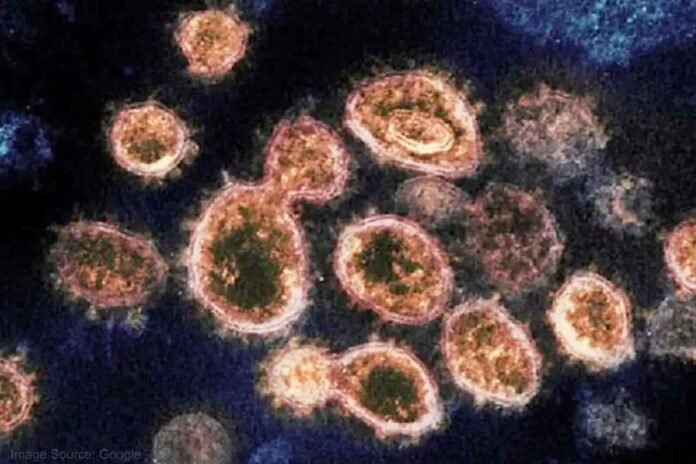 35 people have been infected with this Langya virus