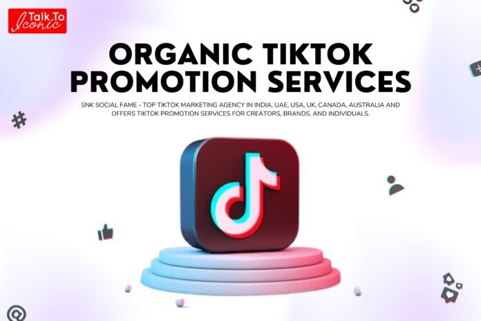 Buy TikTok Promotion Services